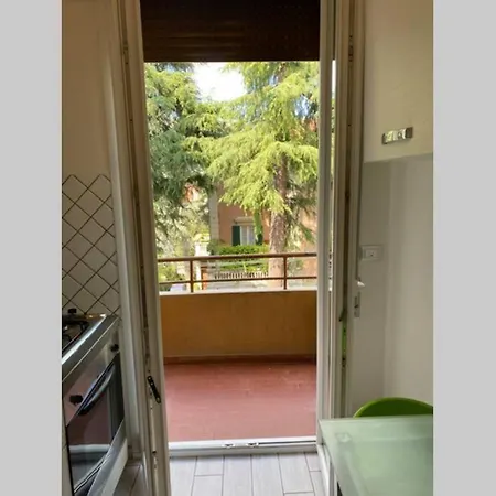 M.g A Un Passo Da Tutto Bologna