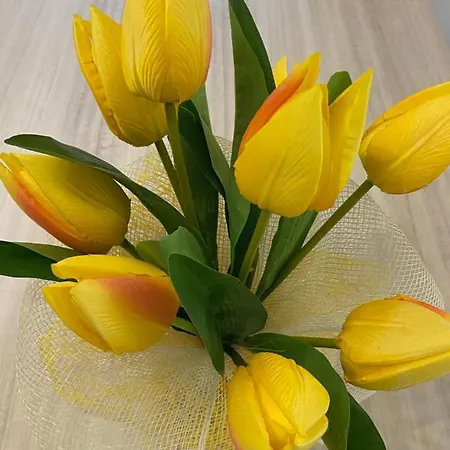 M.g A Un Passo Da Tutto *