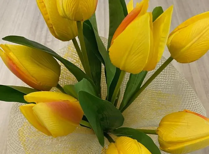 M.g A Un Passo Da Tutto *